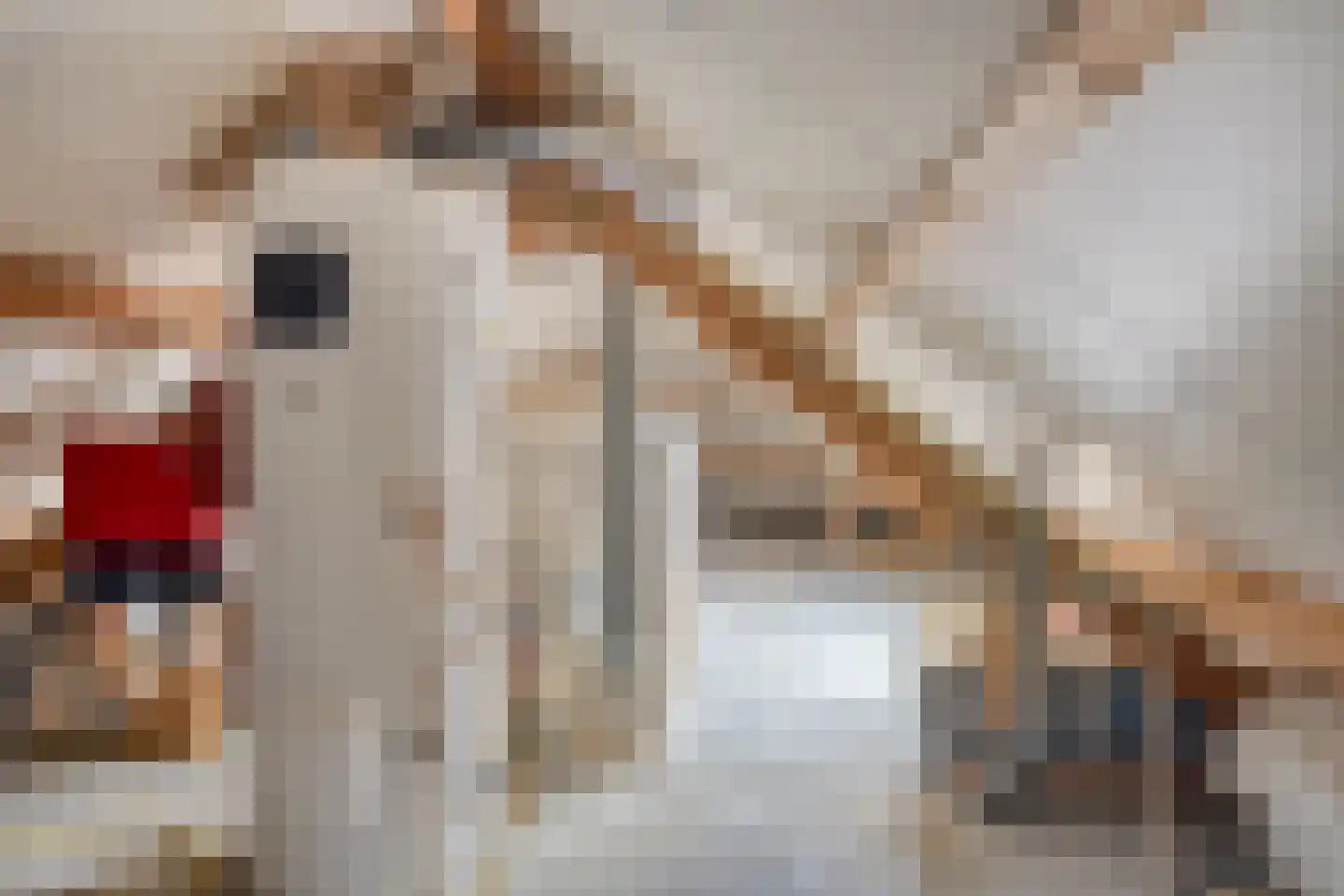 Rietmaat 21 Doesburg thumbnail 40