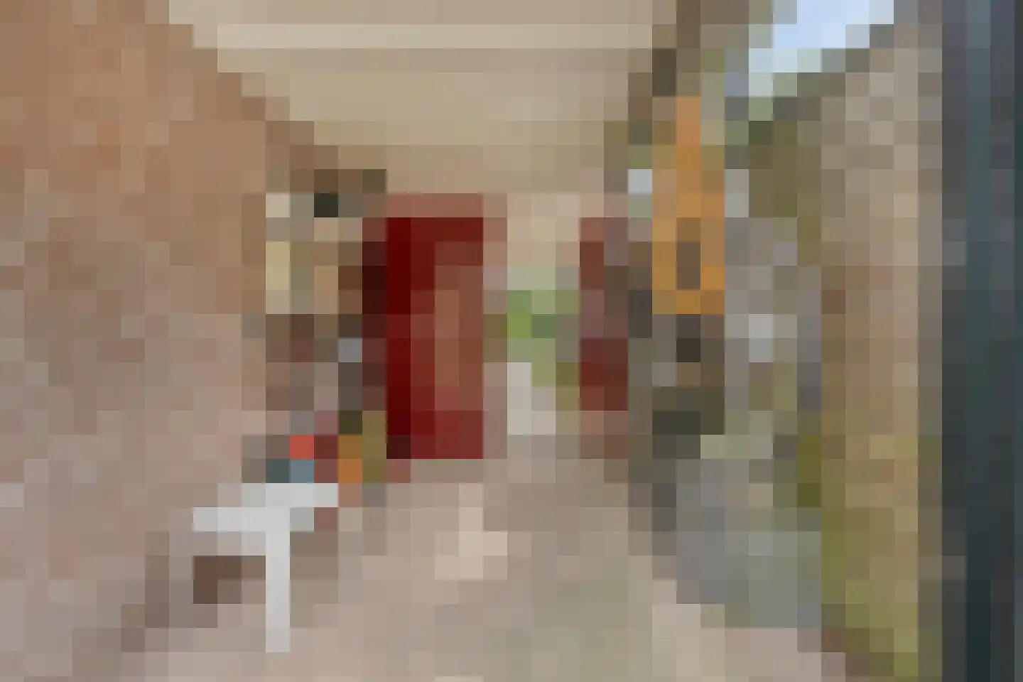Rietmaat 21 Doesburg thumbnail 42