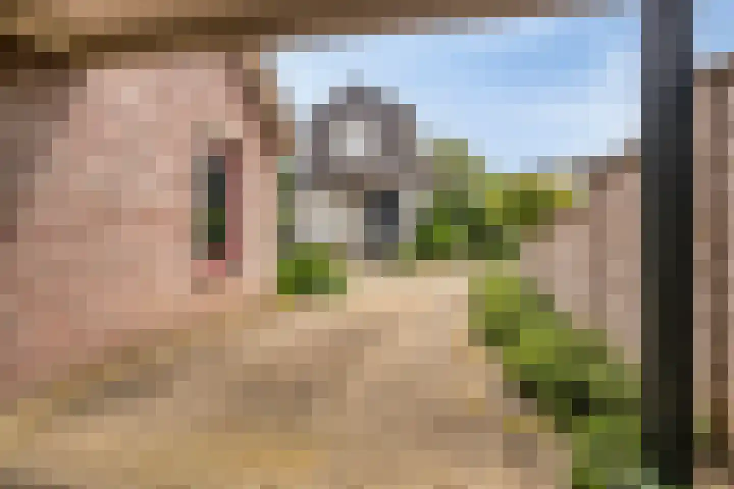 Rietmaat 21 Doesburg thumbnail 43