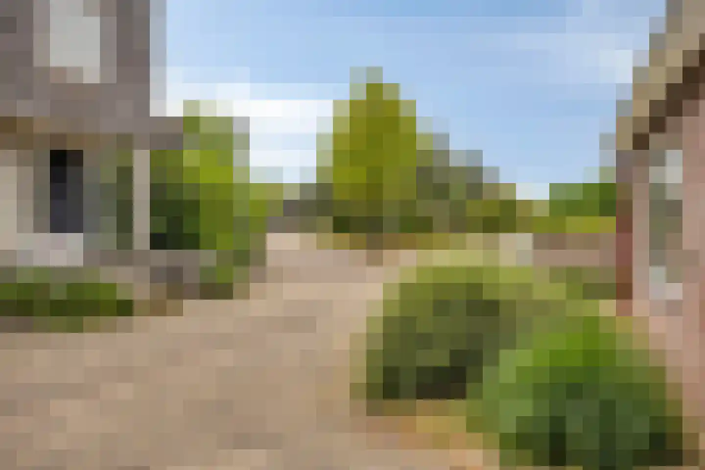 Rietmaat 21 Doesburg thumbnail 47