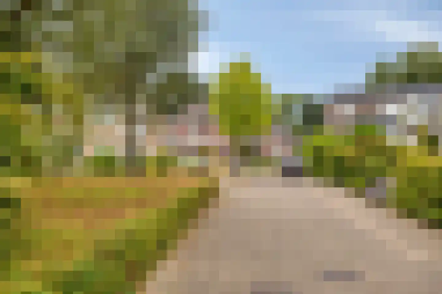 Rietmaat 21 Doesburg thumbnail 49