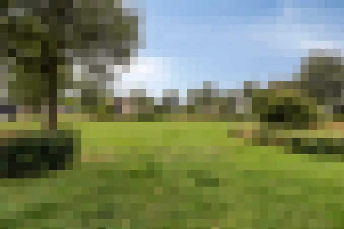 Rietmaat 21 Doesburg thumbnail 50