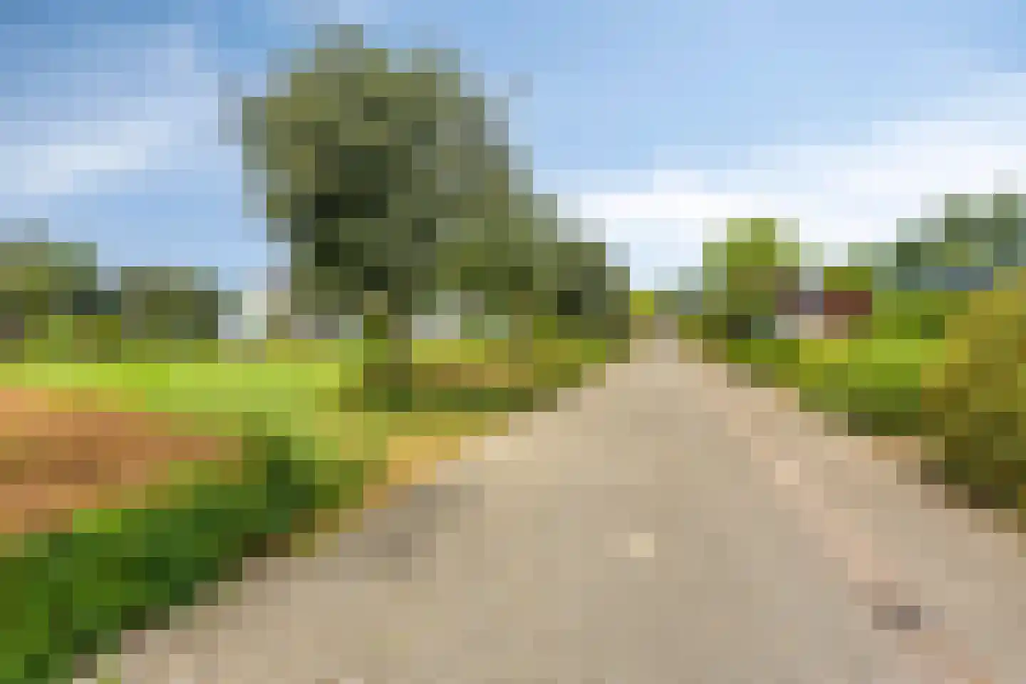 Rietmaat 21 Doesburg thumbnail 51