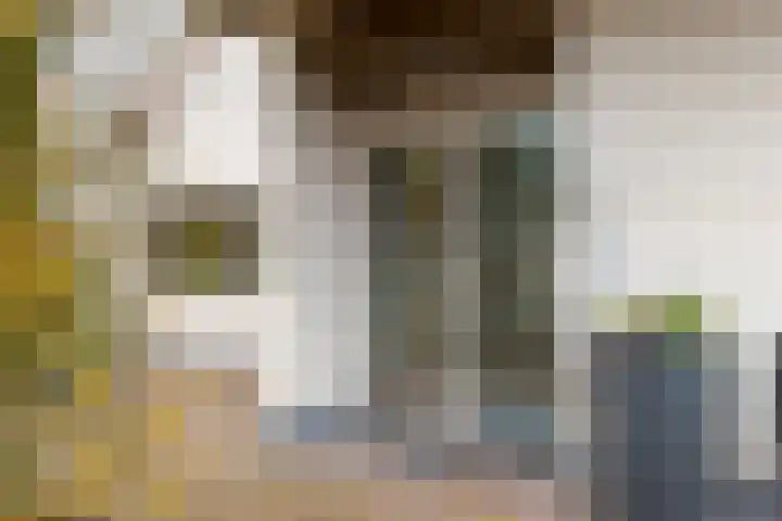 Rietmaat 4 Roden thumbnail 12