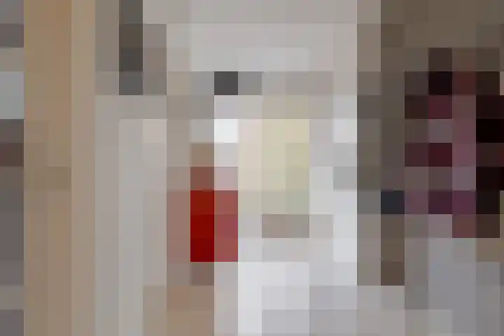 Rietmaat 4 Roden thumbnail 14