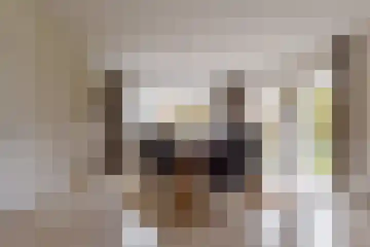 Rietmaat 4 Roden thumbnail 17