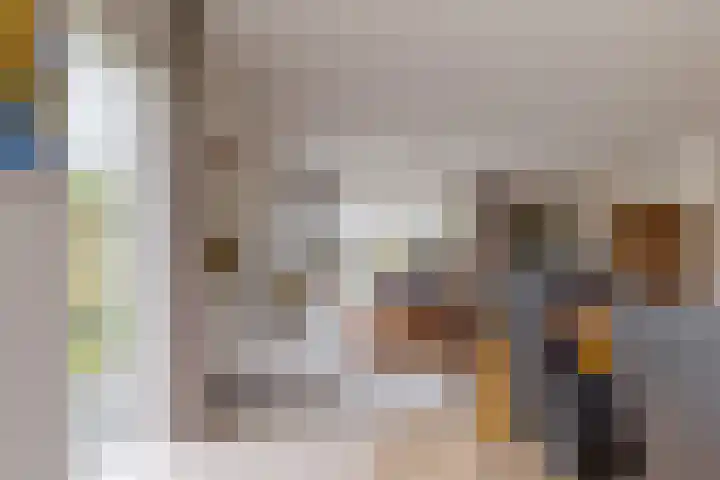 Rietmaat 4 Roden thumbnail 19