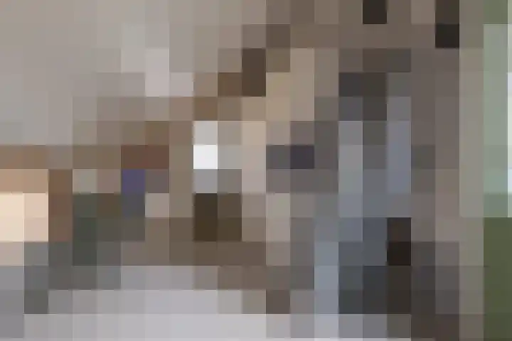 Rietmaat 4 Roden thumbnail 50