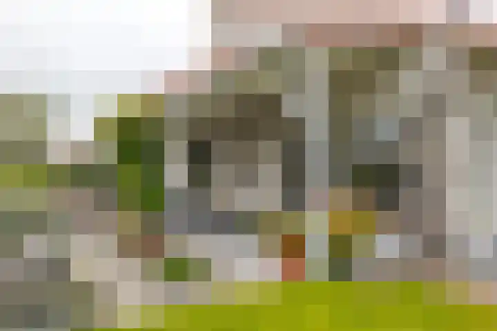 Rietmaat 4 Roden thumbnail 52