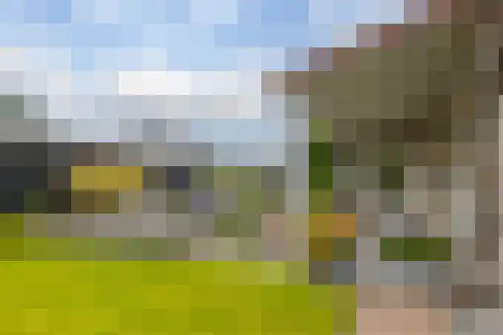 Rietmaat 4 Roden thumbnail 53