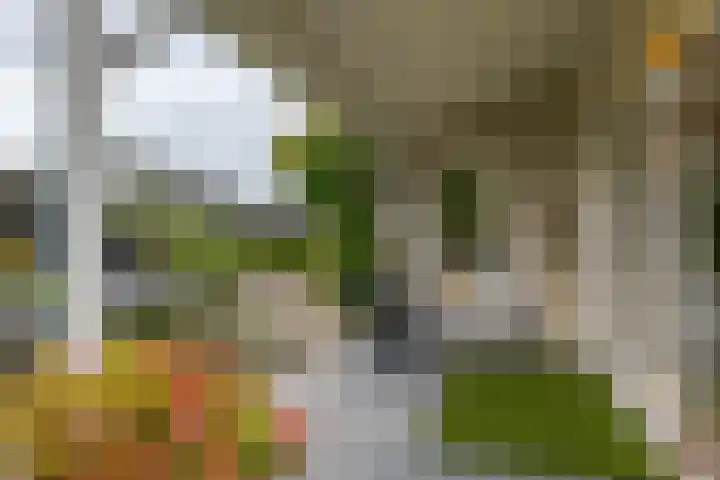 Rietmaat 4 Roden thumbnail 54