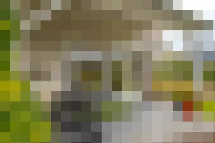 Rietmaat 4 Roden thumbnail 55