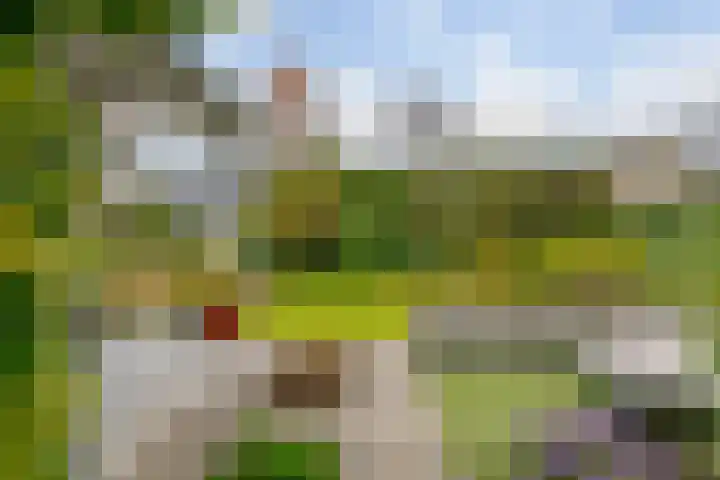 Rietmaat 4 Roden thumbnail 56