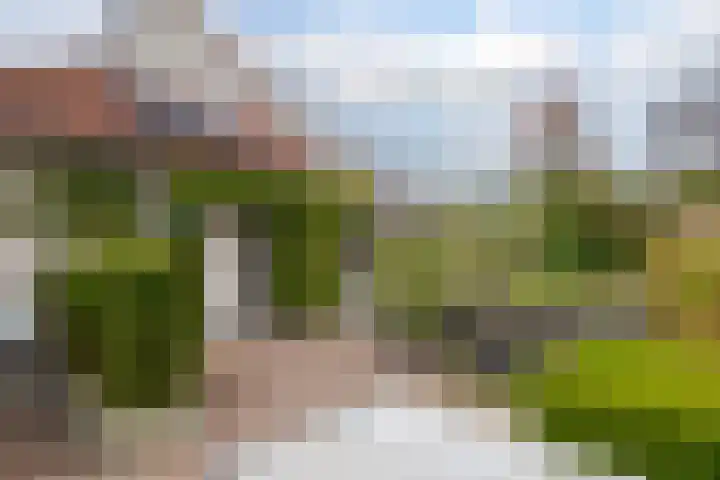 Rietmaat 4 Roden thumbnail 57