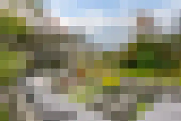 Rietmaat 4 Roden thumbnail 58