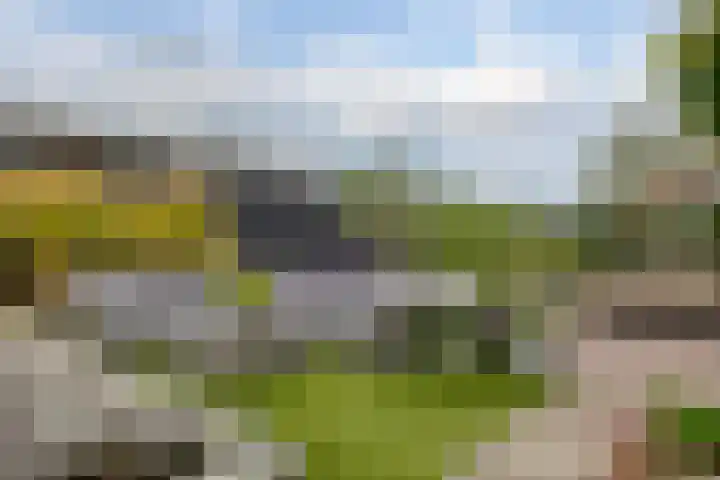 Rietmaat 4 Roden thumbnail 59