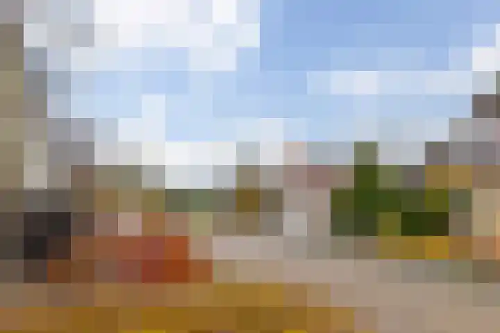 Rietmaat 4 Roden thumbnail 6
