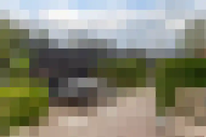 Rietmaat 4 Roden thumbnail 60