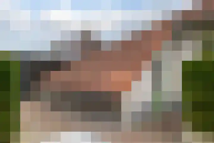 Rietmaat 4 Roden thumbnail 61