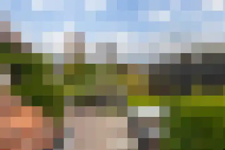 Rietmaat 4 Roden thumbnail 63