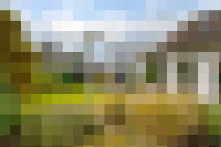 Rietmaat 4 Roden thumbnail 64