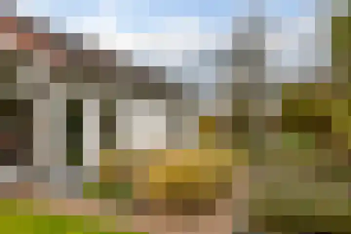 Rietmaat 4 Roden thumbnail 65