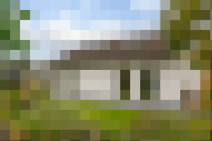 Rietmaat 4 Roden thumbnail 66