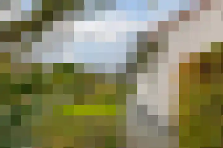 Rietmaat 4 Roden thumbnail 67
