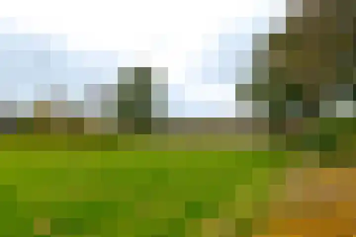 Rietmaat 4 Roden thumbnail 9