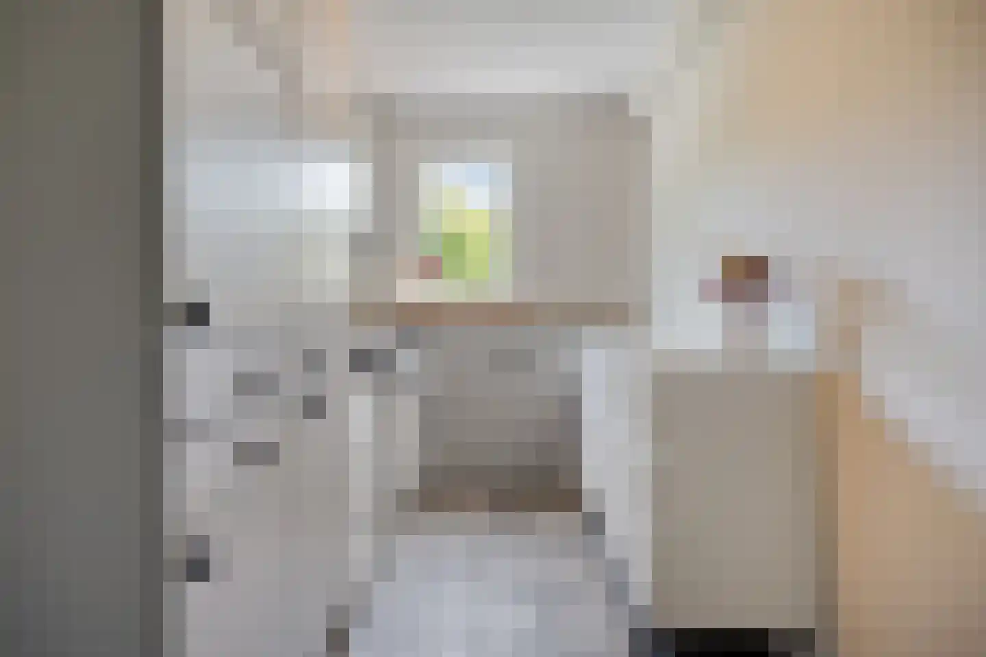 Rietmaat 7 Roden thumbnail 22