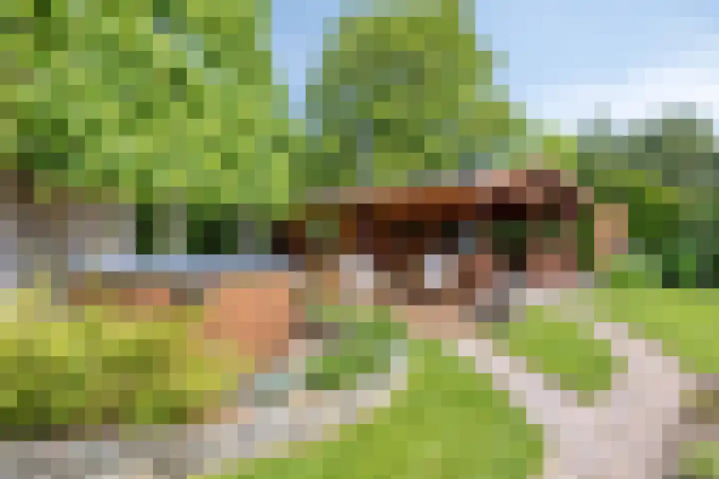 Rietmaat 7 Roden foto 3