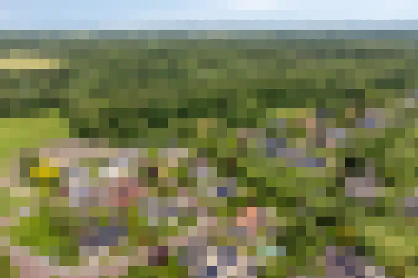 Rietmaat 7 Roden thumbnail 4