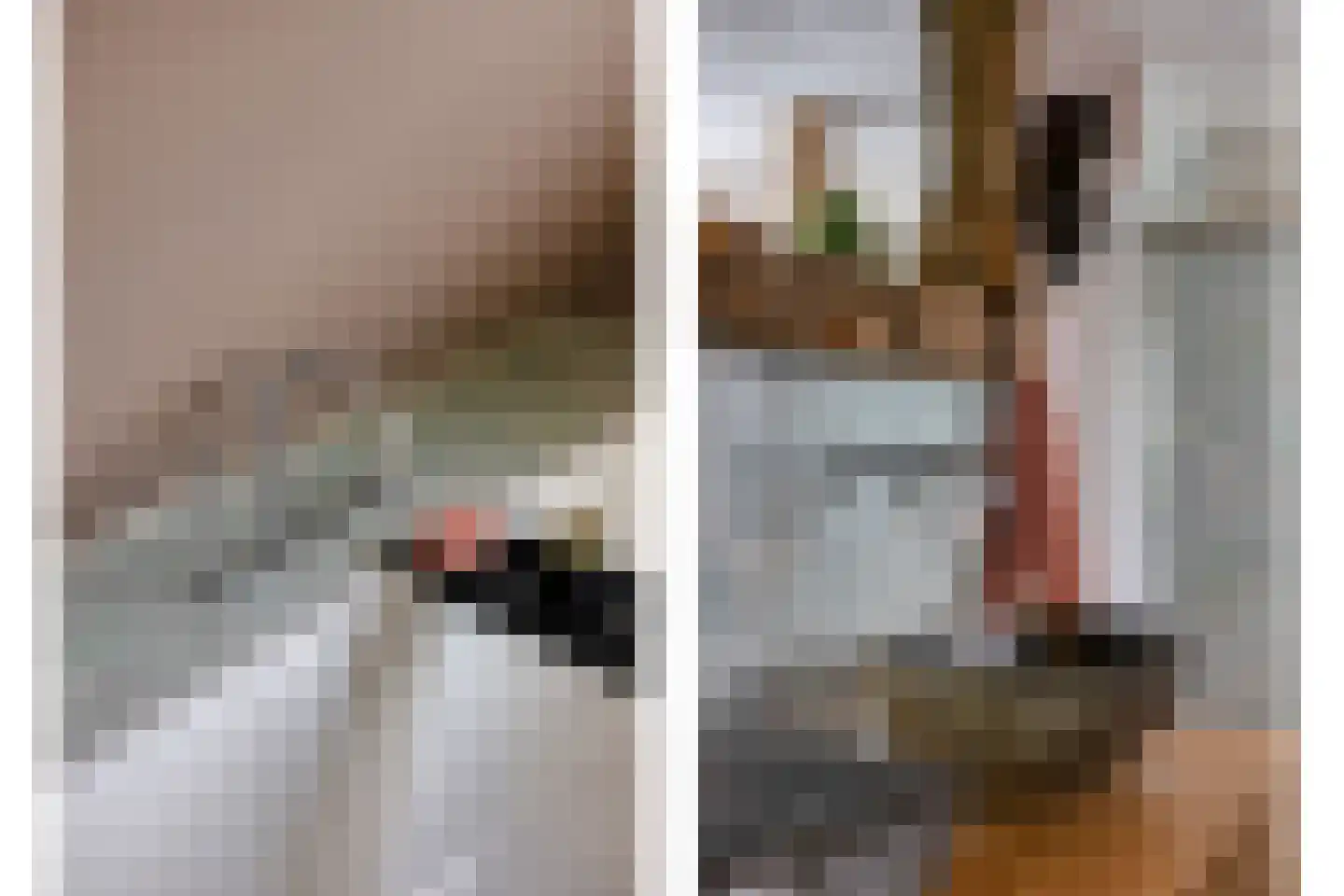 Rietmaat 7 Roden thumbnail 40