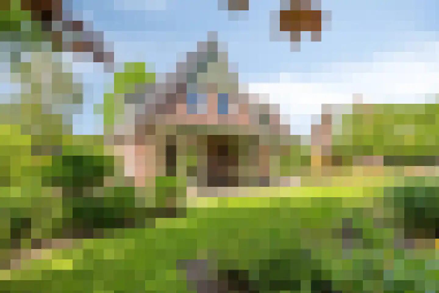 Rietmaat 7 Roden thumbnail 43