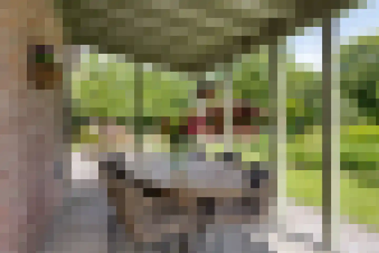 Rietmaat 7 Roden thumbnail 44