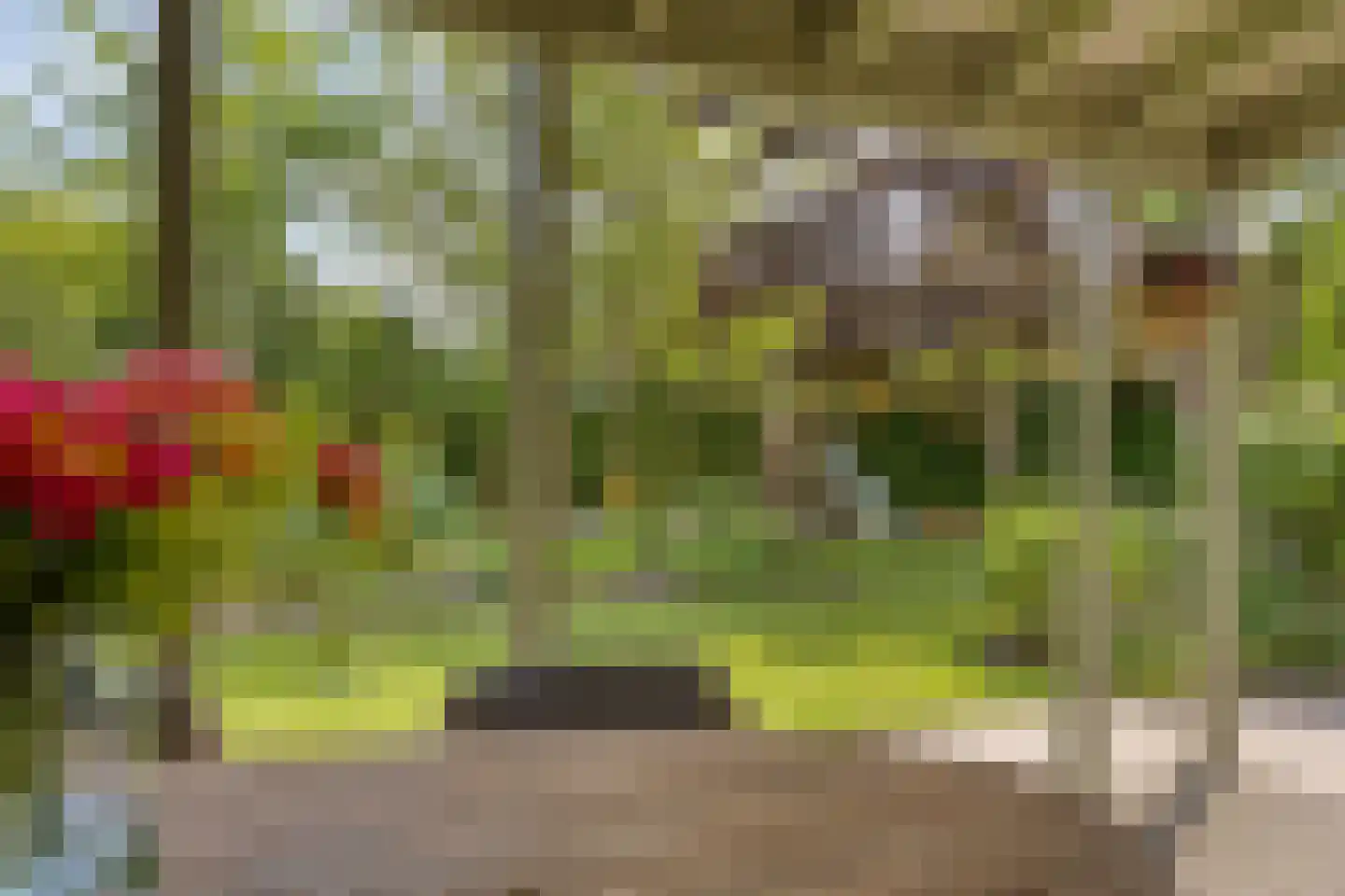 Rietmaat 7 Roden thumbnail 45