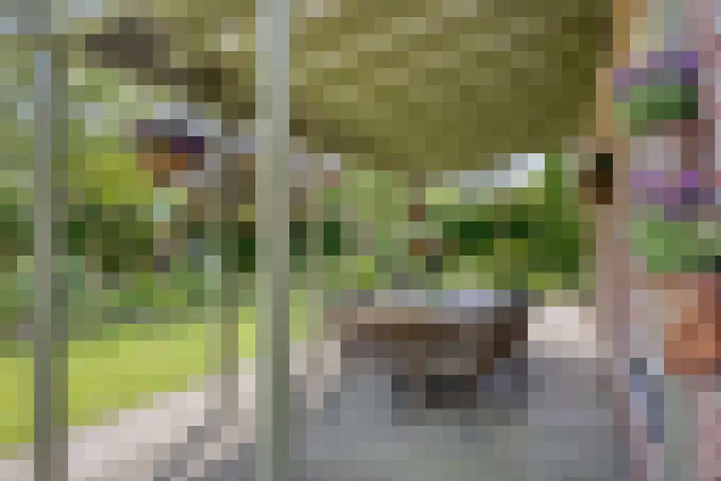 Rietmaat 7 Roden thumbnail 46