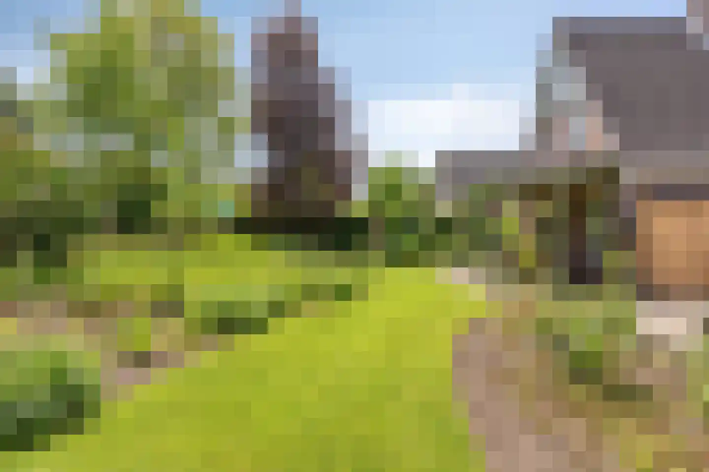 Rietmaat 7 Roden thumbnail 47