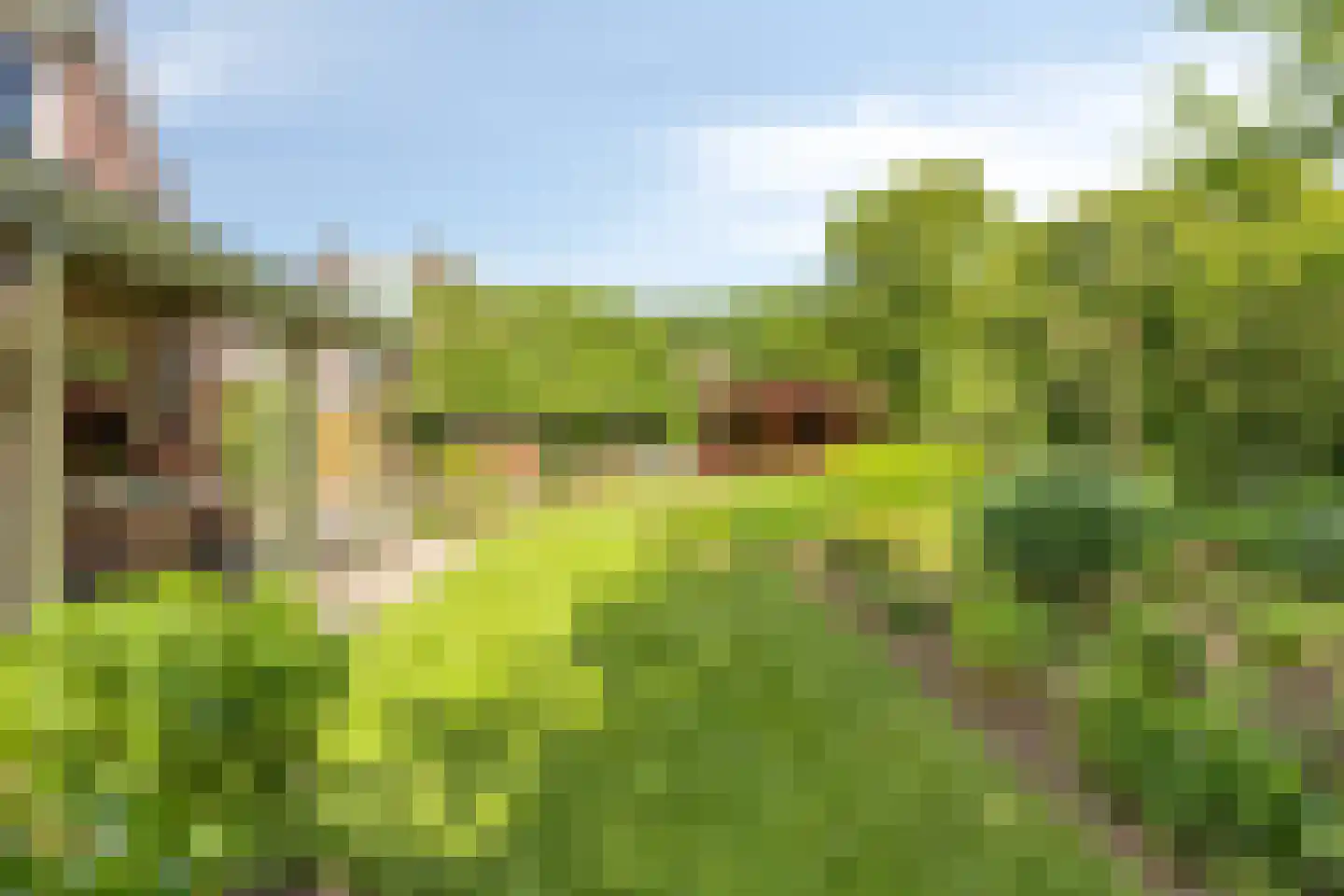 Rietmaat 7 Roden thumbnail 48