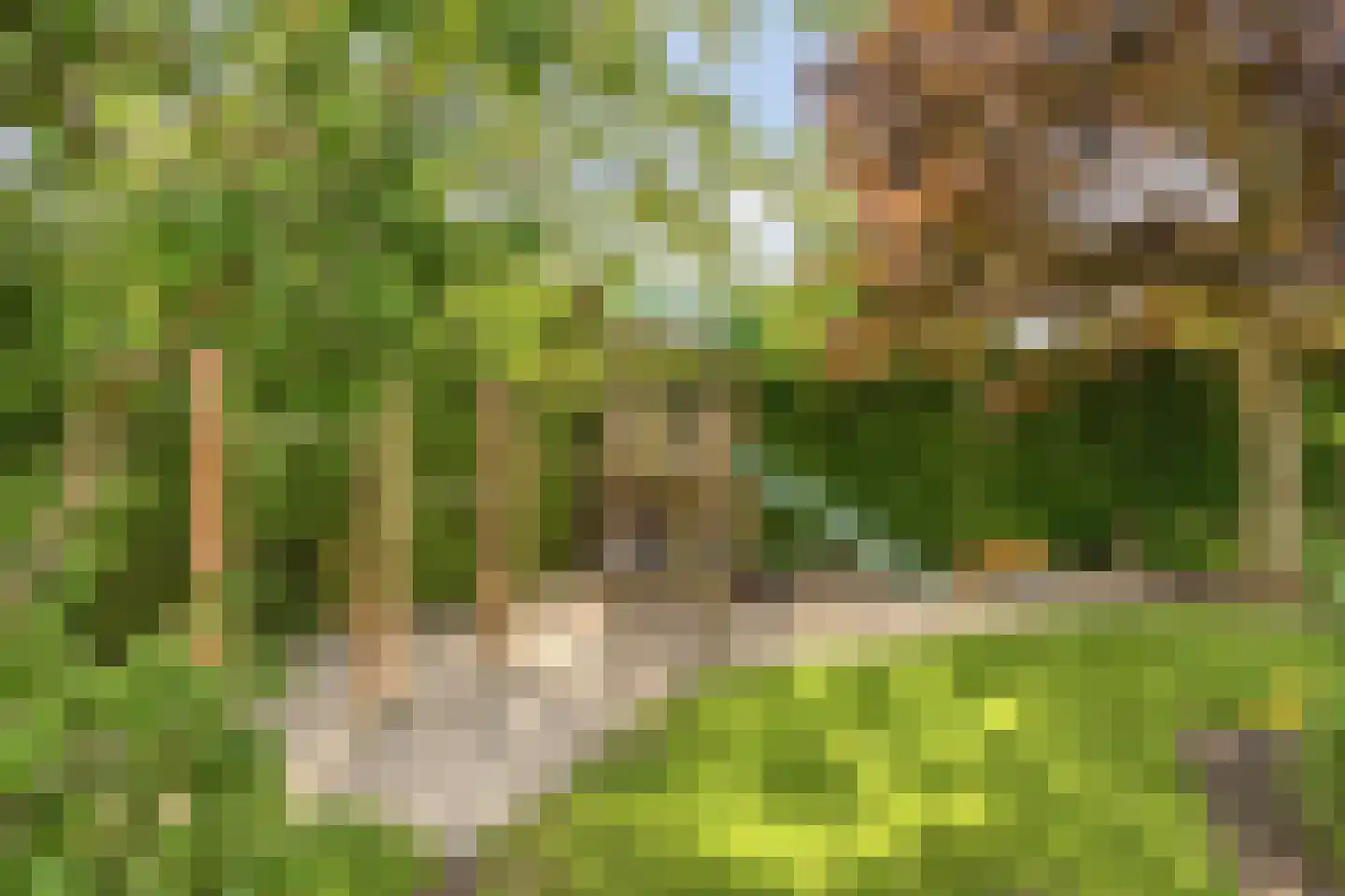 Rietmaat 7 Roden thumbnail 49