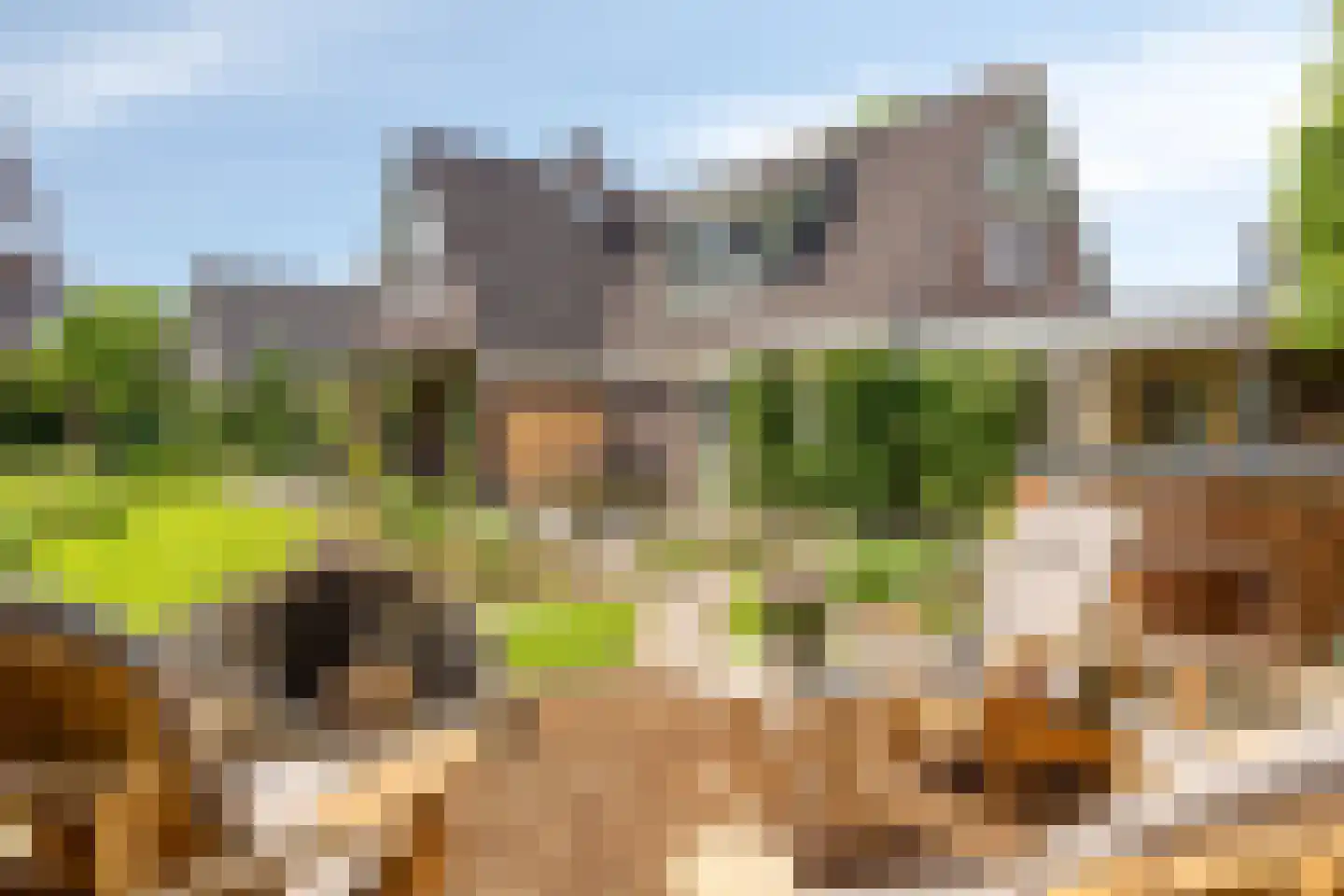 Rietmaat 7 Roden thumbnail 5