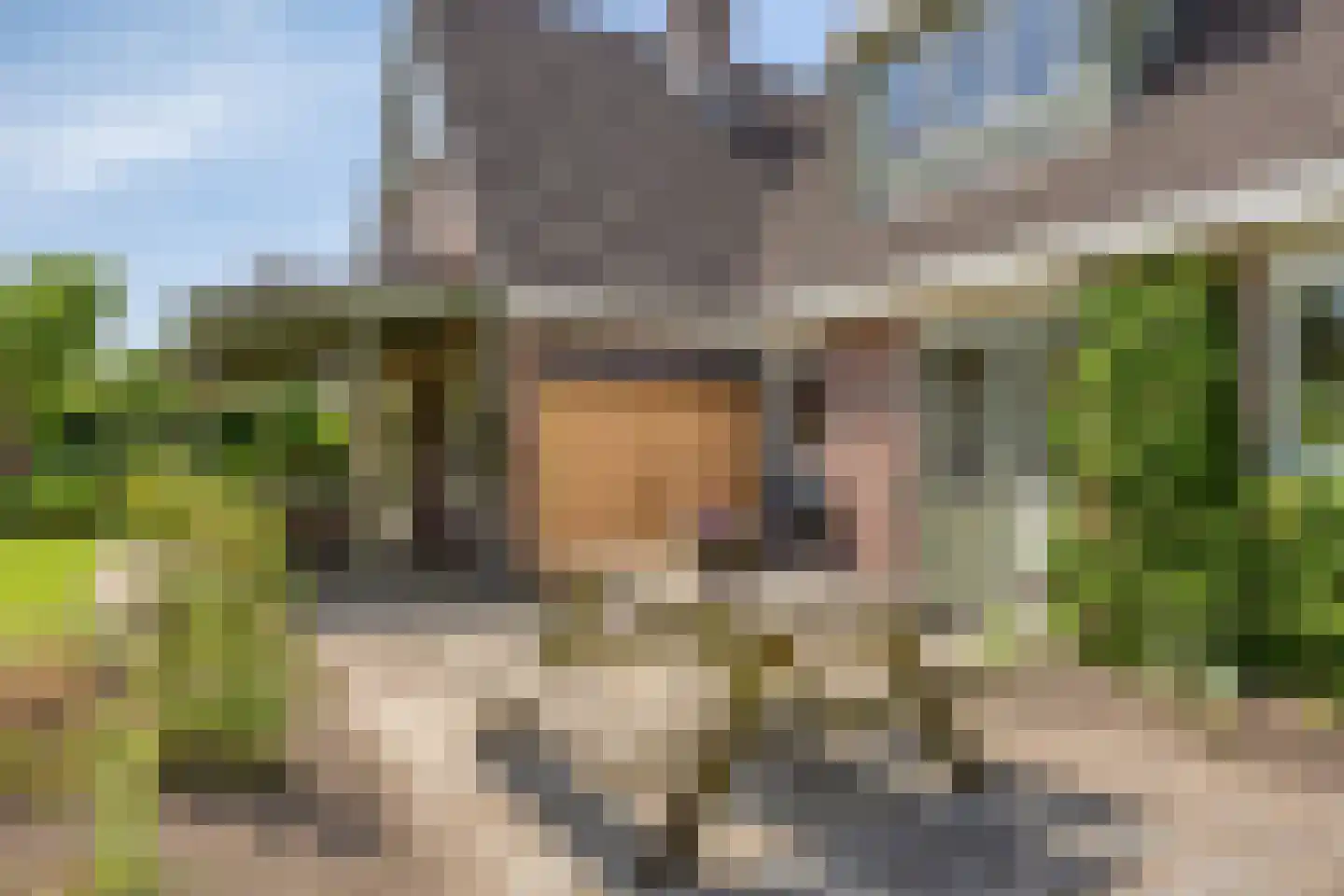 Rietmaat 7 Roden thumbnail 50