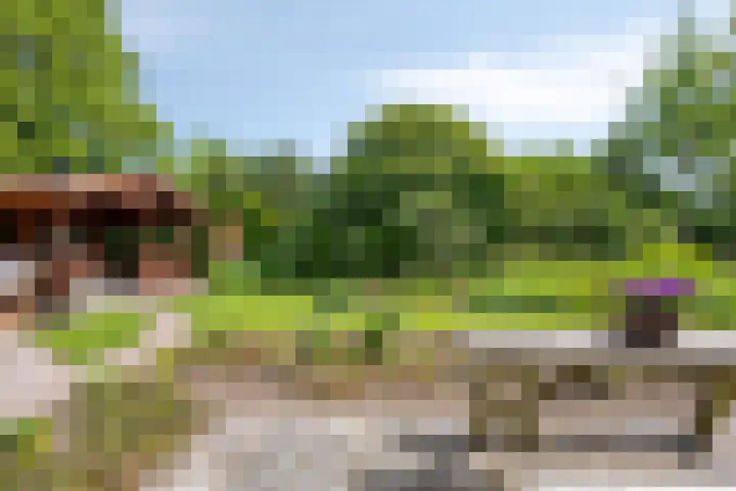Rietmaat 7 Roden thumbnail 51