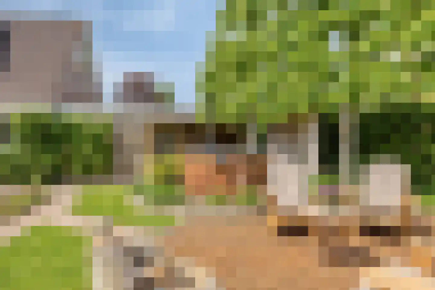 Rietmaat 7 Roden thumbnail 52