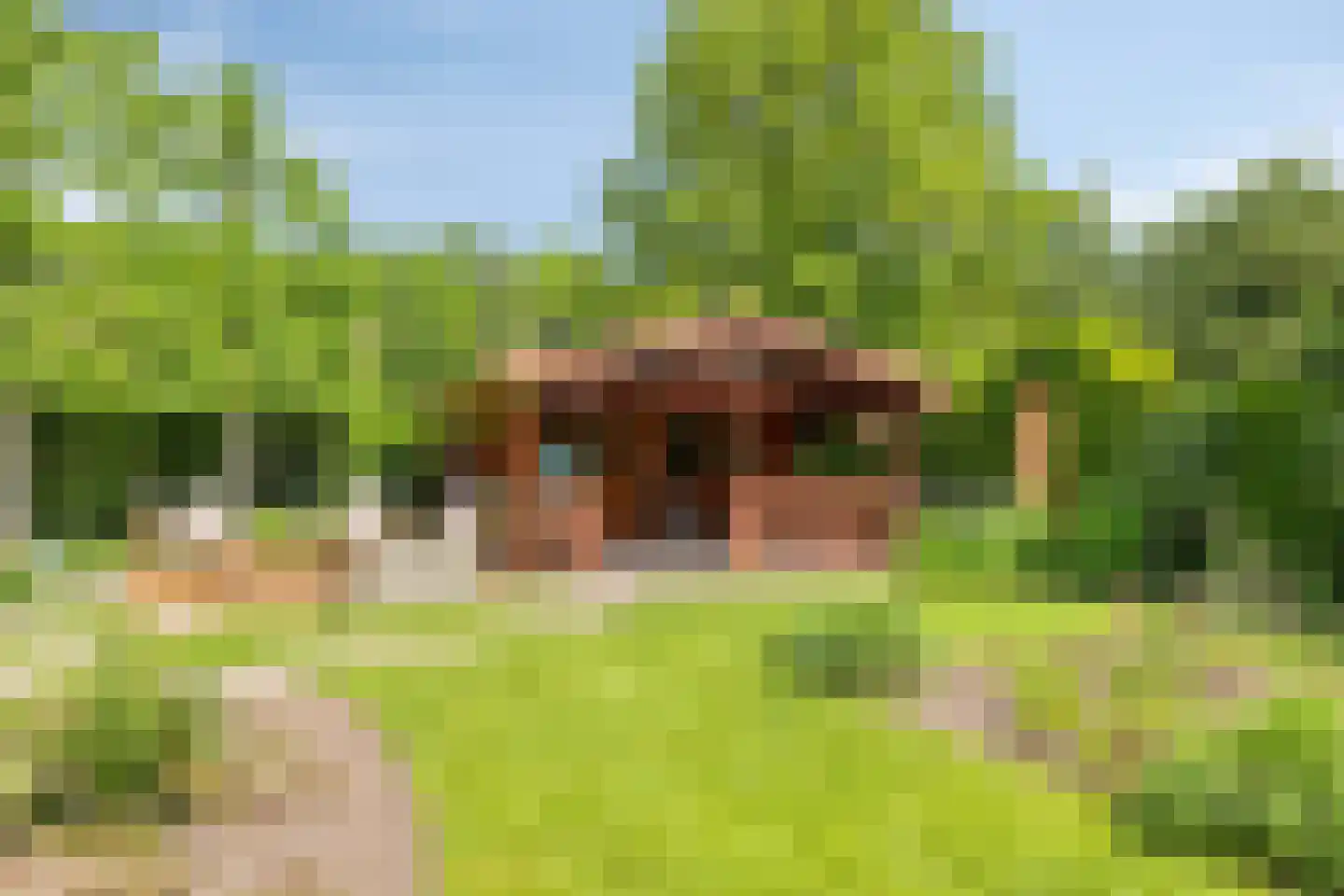 Rietmaat 7 Roden thumbnail 55