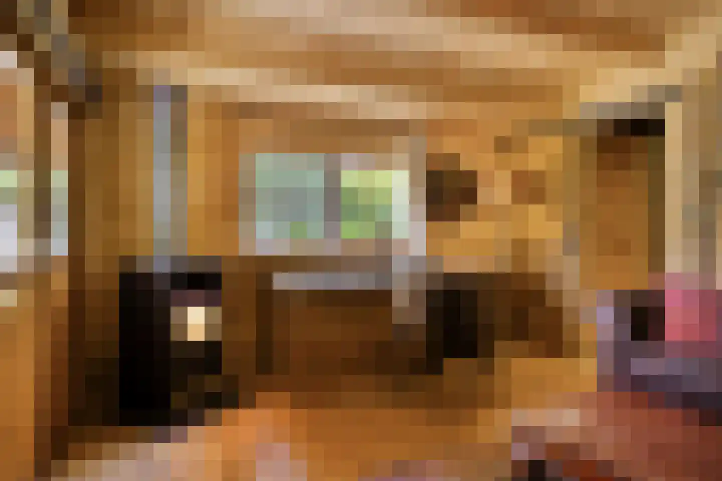 Rietmaat 7 Roden thumbnail 58