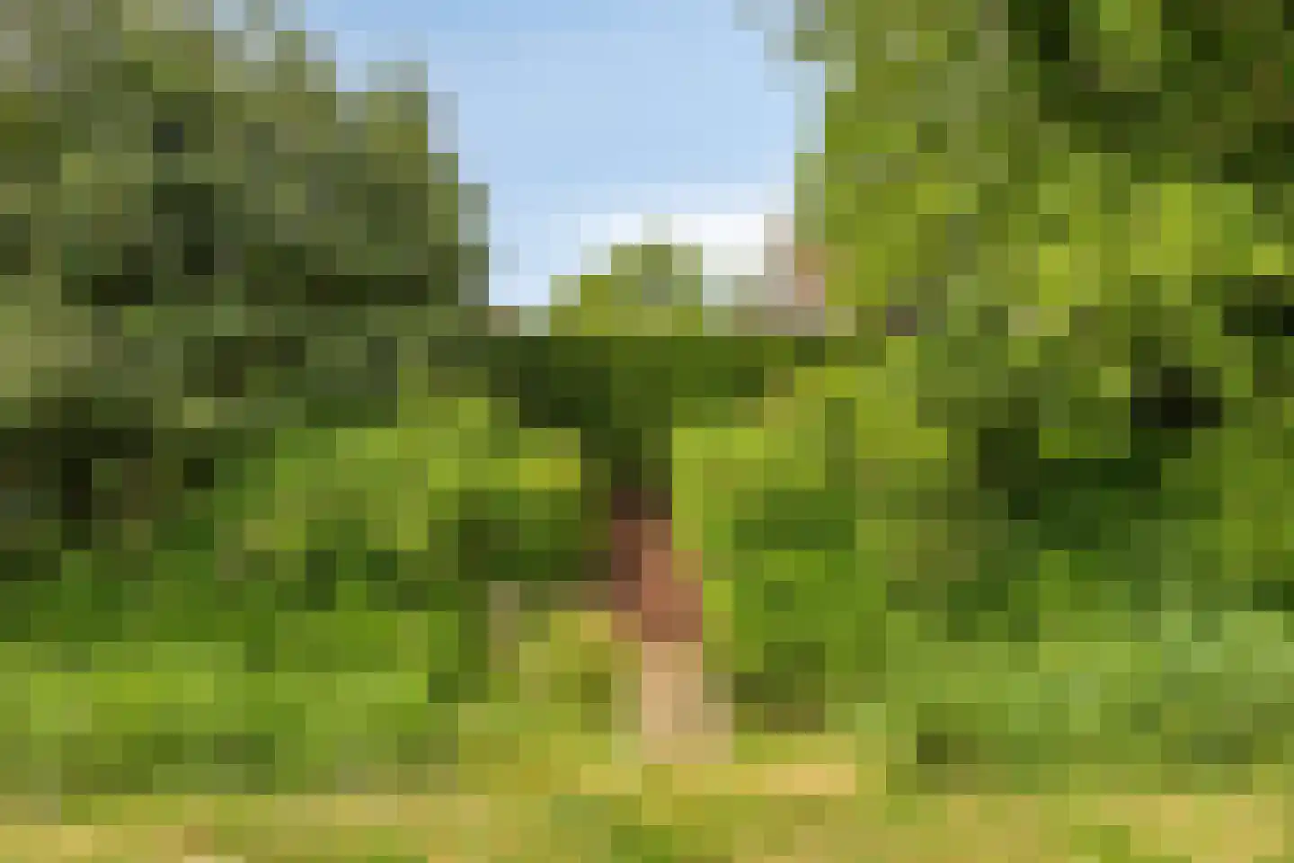 Rietmaat 7 Roden thumbnail 65