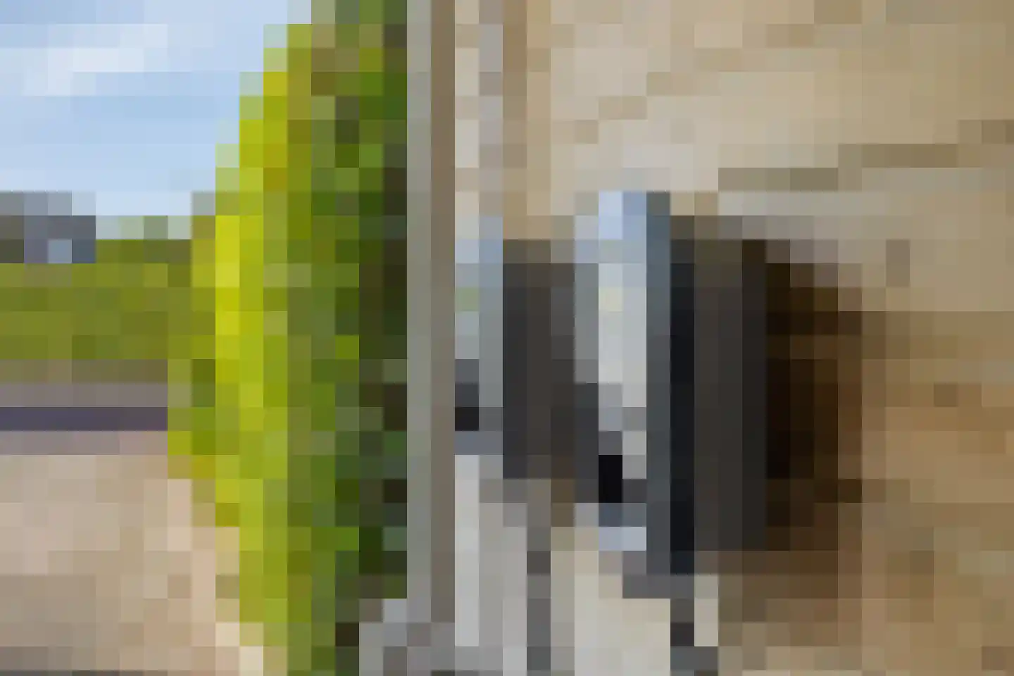 Rietmaat 7 Roden thumbnail 67
