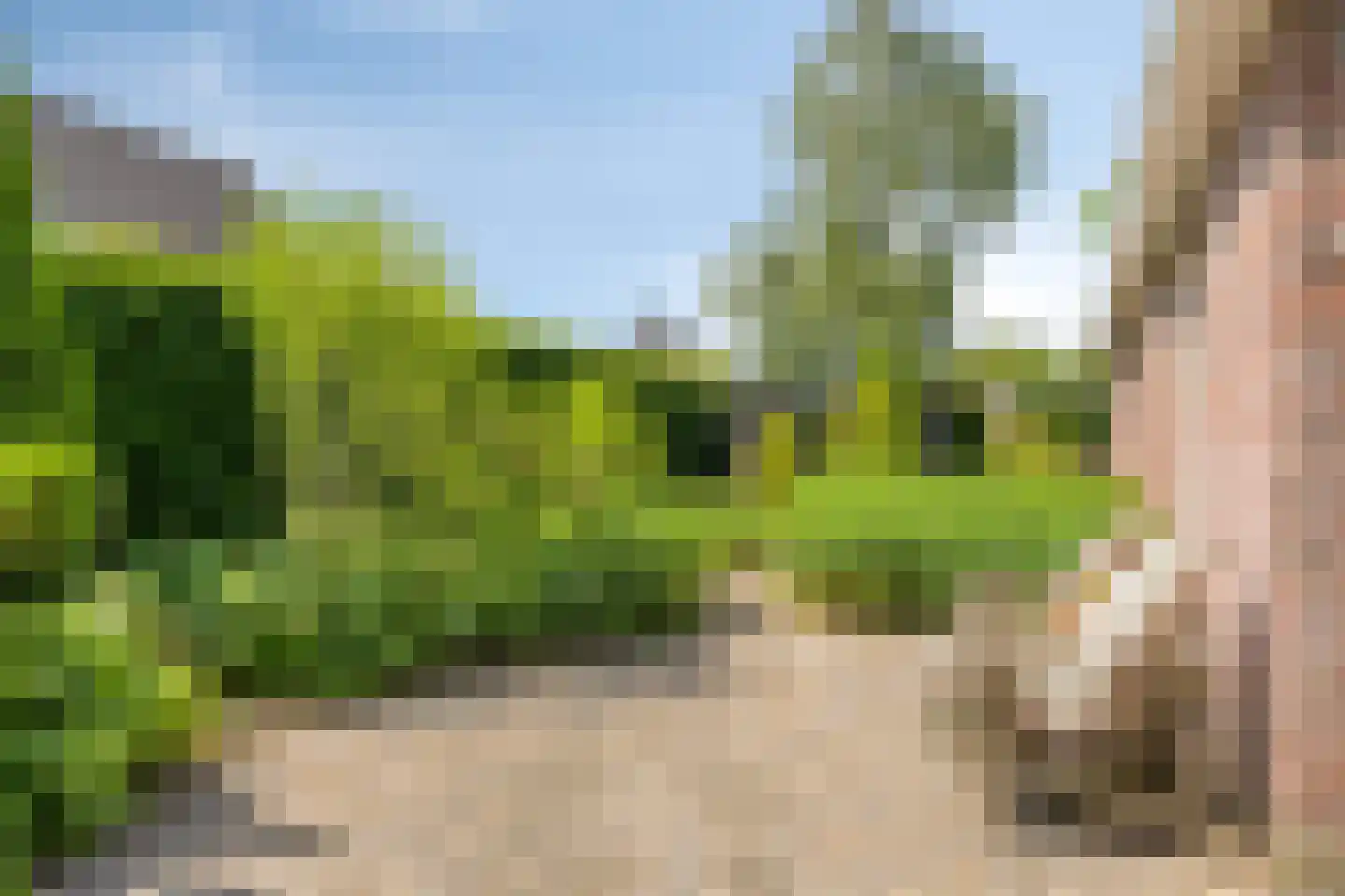 Rietmaat 7 Roden thumbnail 70