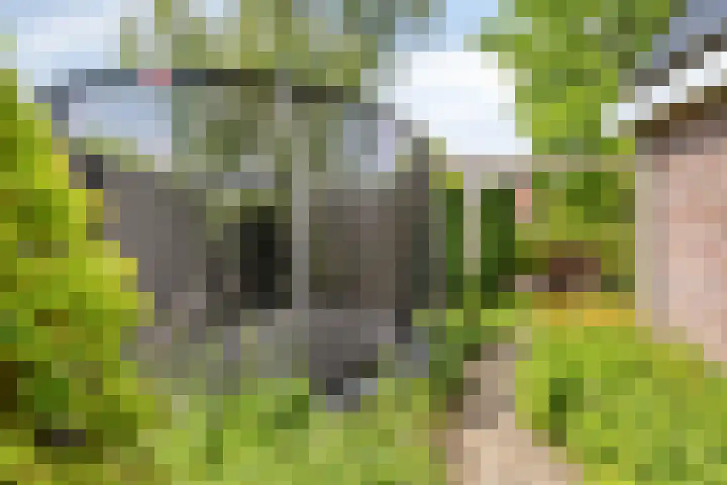 Rietmaat 7 Roden thumbnail 72